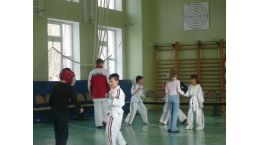 показательные выступления